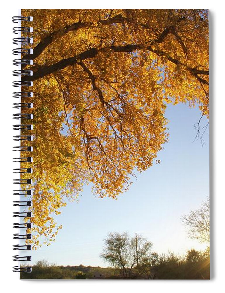 Cottonwood Spiral Notebook featuring the photograph Cottonwood Sunset by Suzanne Oesterling
