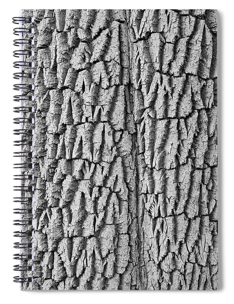 Texture Prints Spiral Notebook featuring the photograph Cottonwood Tree Texture Black and White Print by James BO Insogna