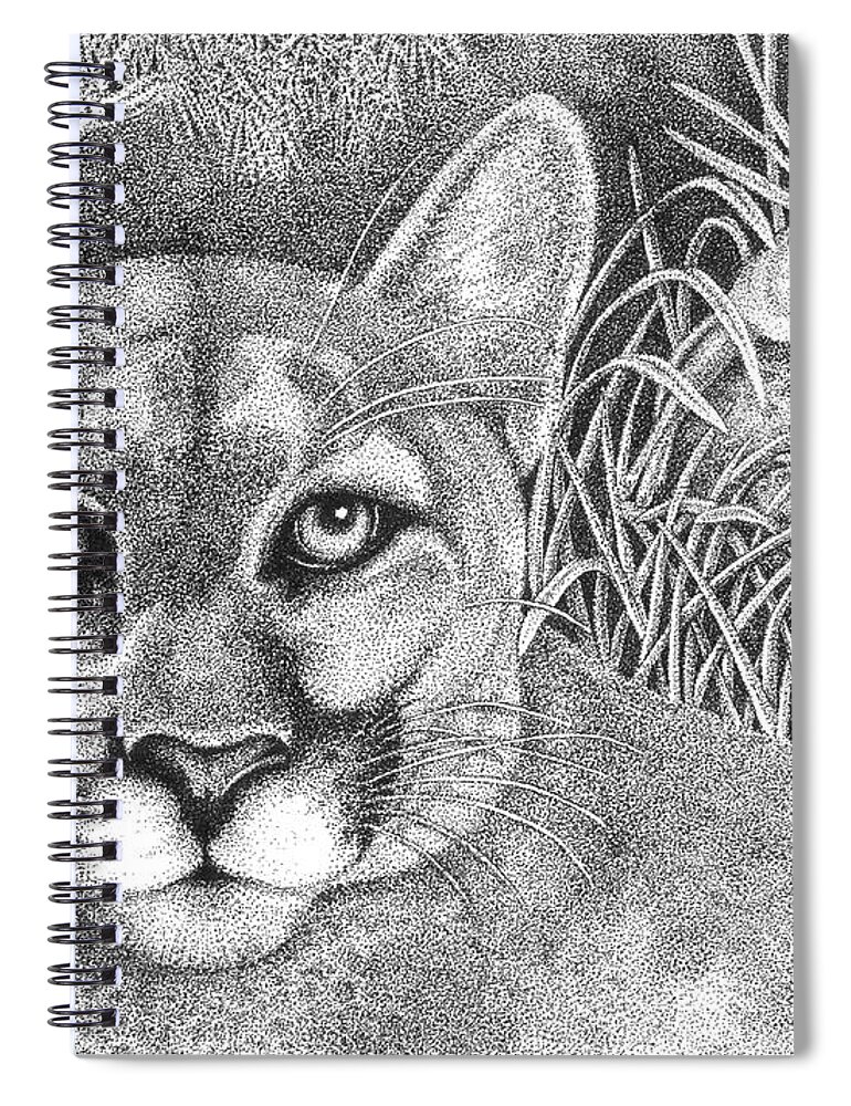 Wildlife Spiral Notebook featuring the drawing Cougar by Lawrence Tripoli