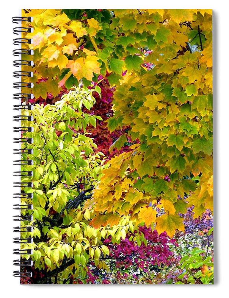 Autumn Spiral Notebook featuring the photograph Country Color 15 by Will Borden