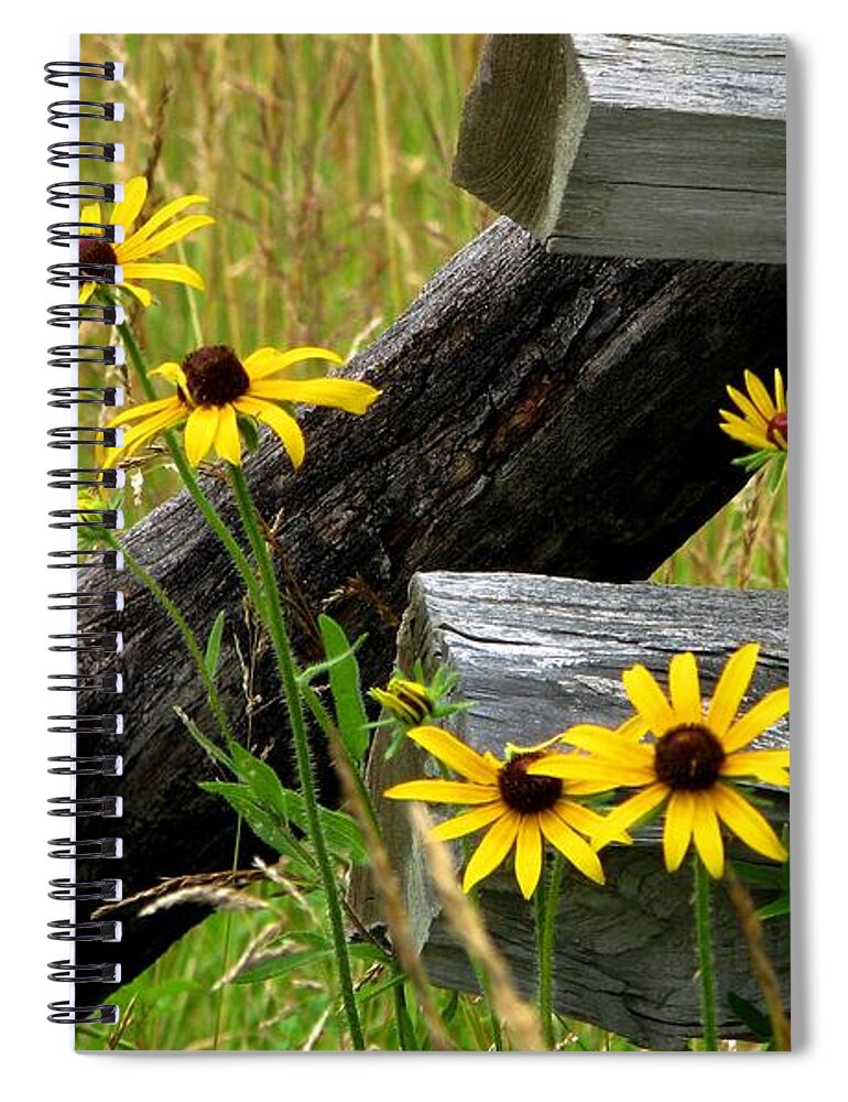 Black Eyed Susans Spiral Notebook featuring the photograph Country Roads by Angela Davies