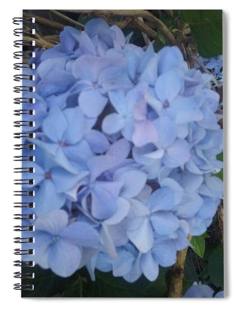 Courageous Spiral Notebook featuring the photograph Courageous Hydrangea by Seaux-N-Seau Soileau