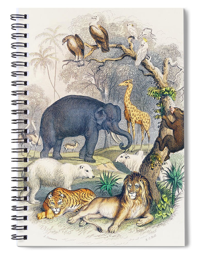 A History Of The Earth And Animated Nature Spiral Notebook featuring the painting Cover of A history of the earth and animated nature by Vincent Monozlay