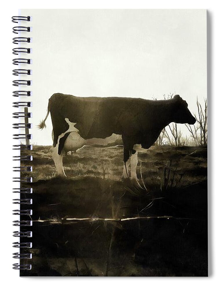 Cow Spiral Notebook featuring the photograph Cow - Black and White - Profile by Janine Riley