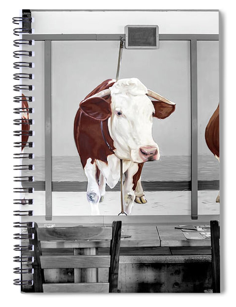 Cows Spiral Notebook featuring the photograph Cows on the wall by Wolfgang Stocker