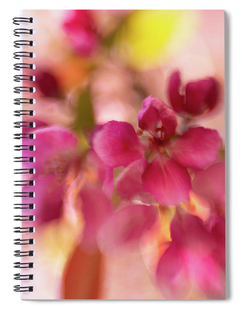 Flower Spiral Notebook featuring the photograph Crabapple Pink by Pamela Taylor