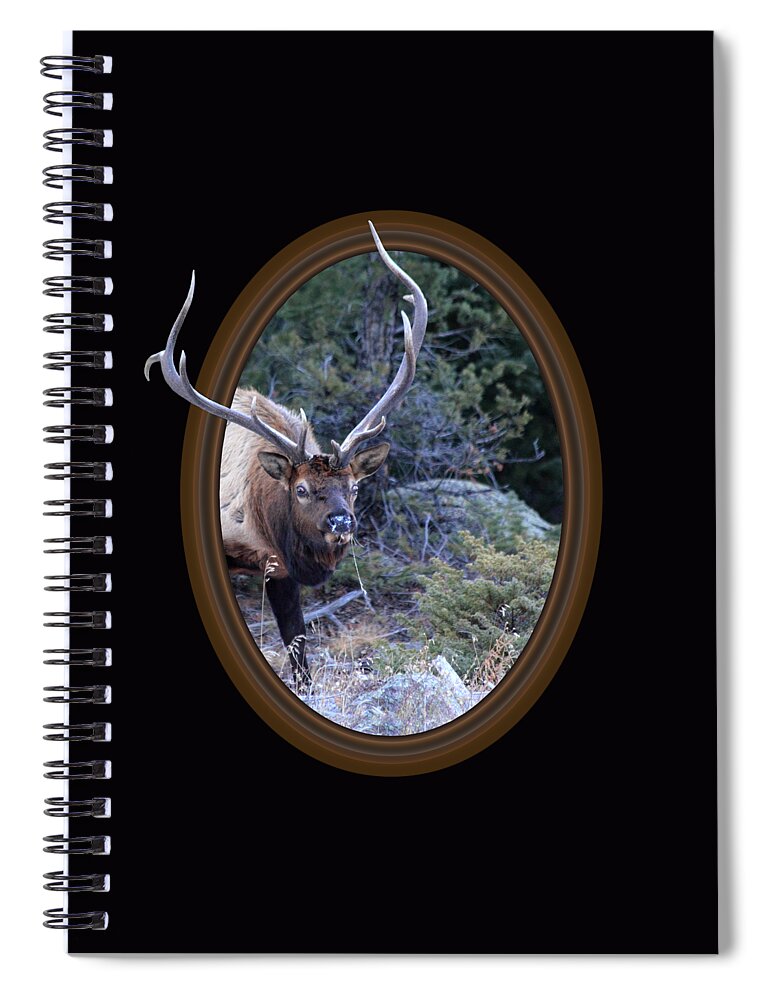 Colorado Spiral Notebook featuring the photograph Crazy Eyes by Shane Bechler
