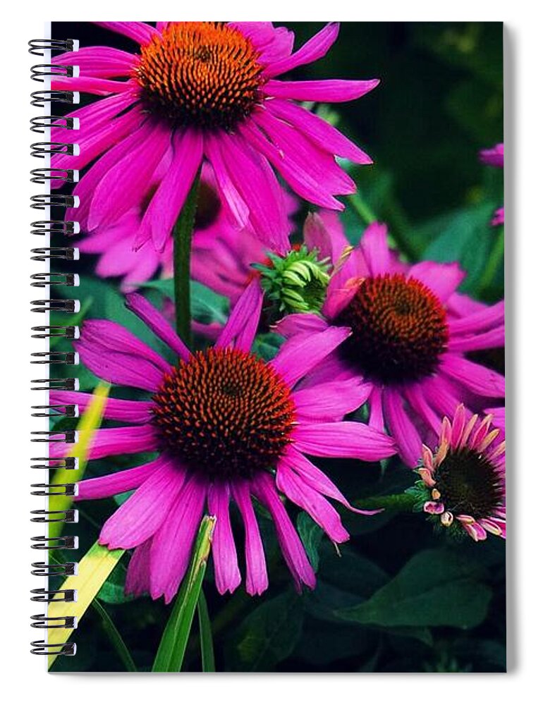  Spiral Notebook featuring the photograph Crazy for Coneflowers by Kendall McKernon