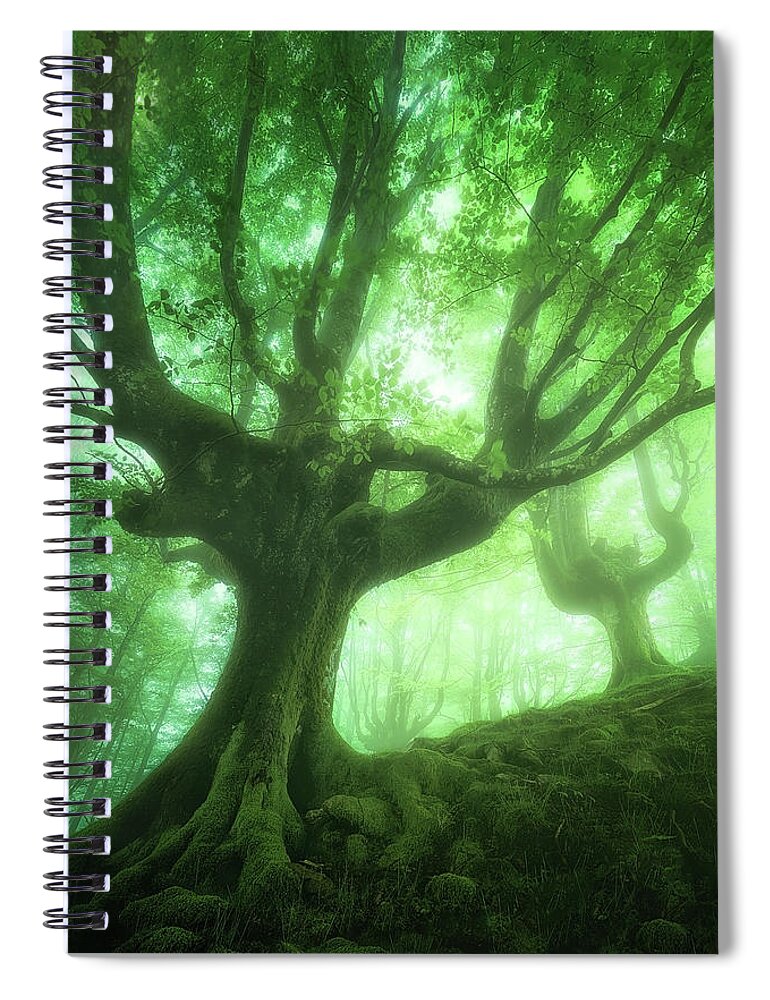 Forest Spiral Notebook featuring the photograph Creatures of Belaustegi by Mikel Martinez de Osaba