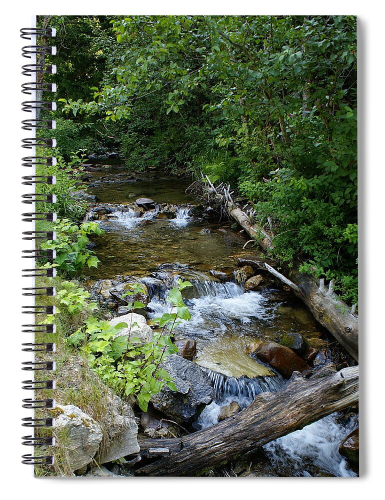 Nature Spiral Notebook featuring the photograph Creek on Mt. Spokane 1 by Ben Upham III