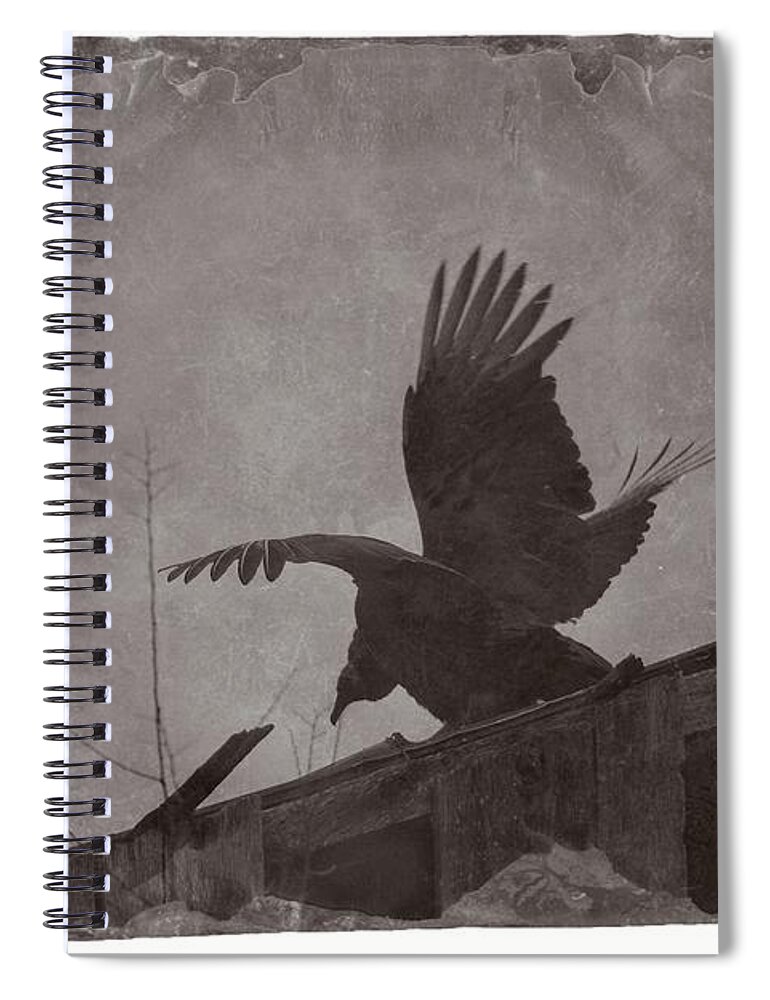 Wildlife Spiral Notebook featuring the photograph Creepy Buzzard by John Benedict