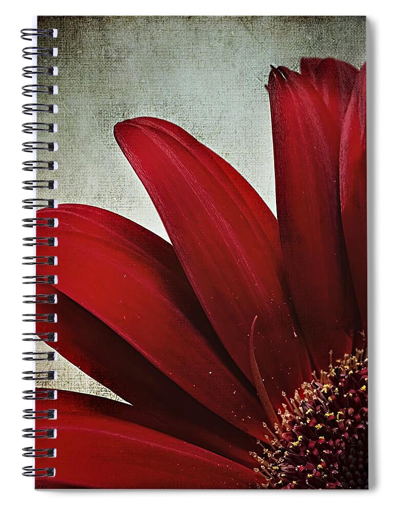 Chrysanthemum Spiral Notebook featuring the photograph Crimson Drama Queen by Melissa Bittinger
