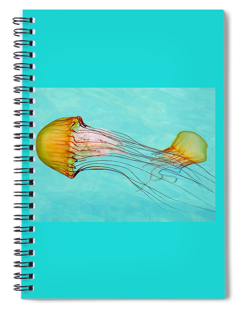 Jelly Fish Spiral Notebook featuring the photograph Criss Cross by Derek Dean