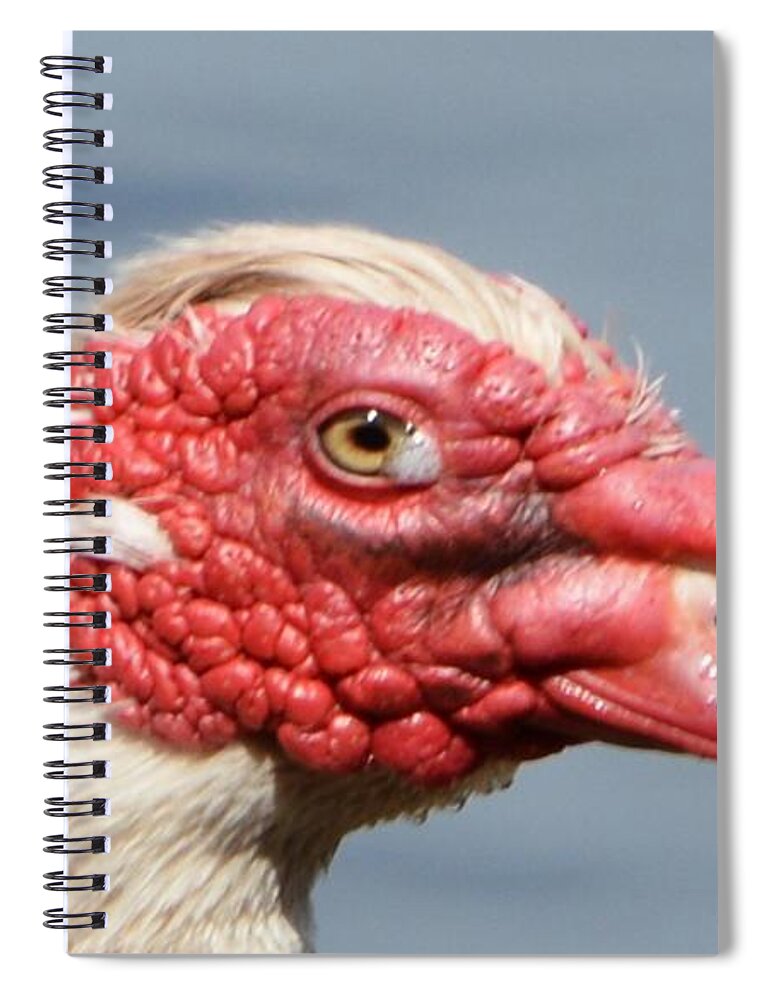 Geese Spiral Notebook featuring the photograph Crying Goose by Dani McEvoy
