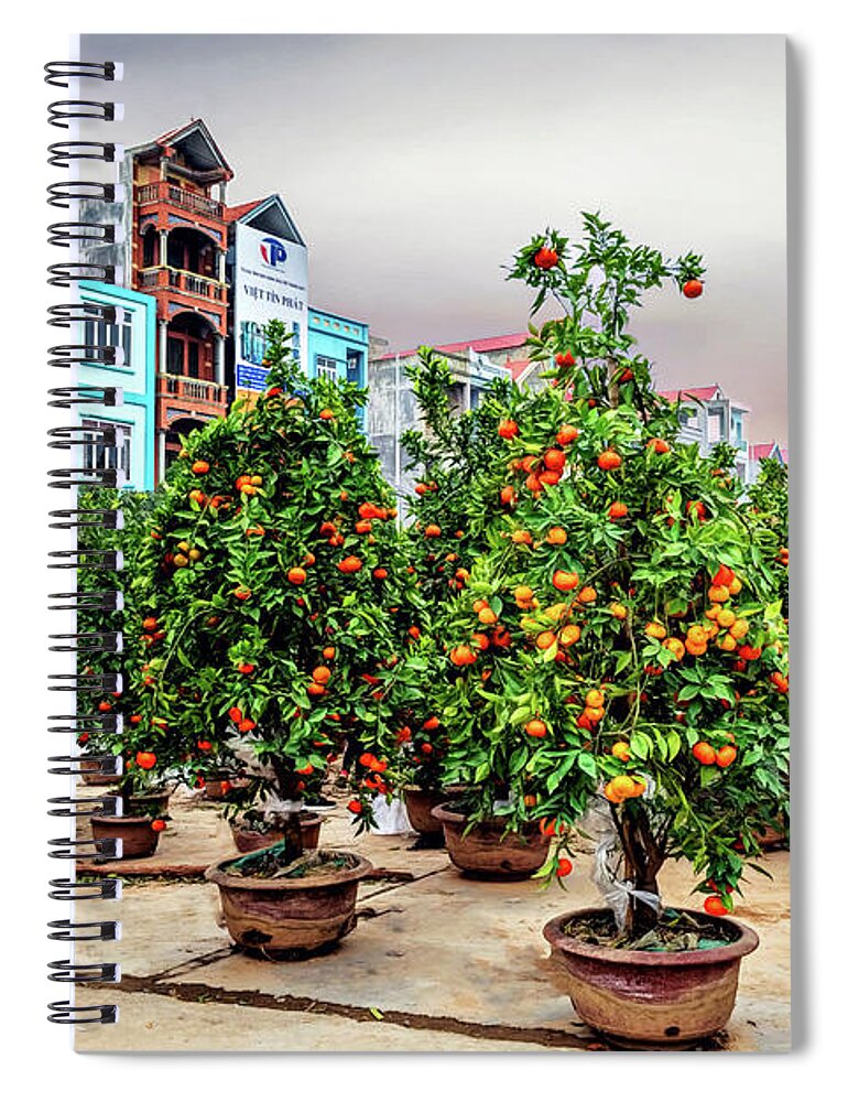 Citrus Spiral Notebook featuring the photograph Cumquat Trees by Maria Coulson