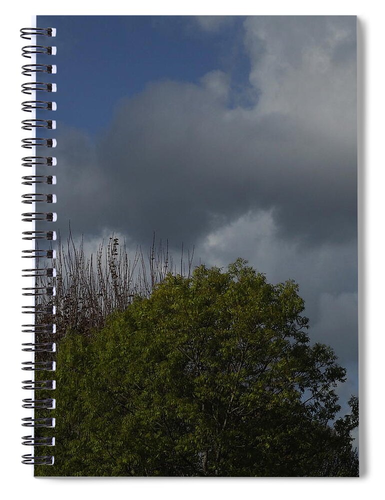  Spiral Notebook featuring the photograph Cumulus 14 and Trees by Richard Thomas