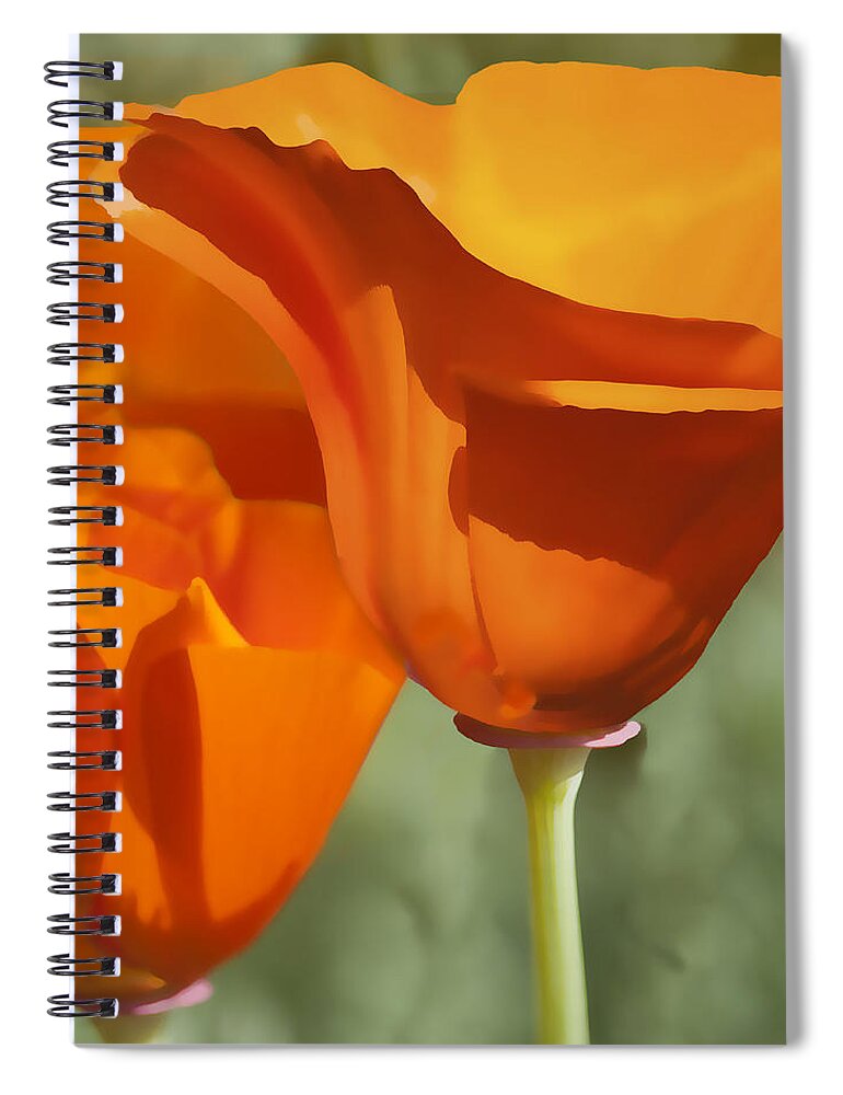 California Spiral Notebook featuring the digital art Cup of Gold by Sharon Foster