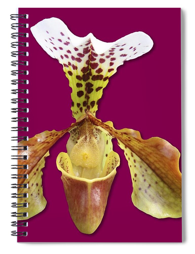 White Spiral Notebook featuring the photograph Cup of Nectar by Bob Slitzan