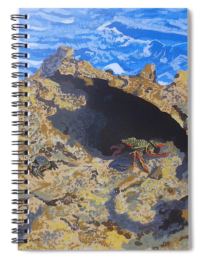 Curacao Spiral Notebook featuring the painting Curacao Crabs by Margaret Brooks