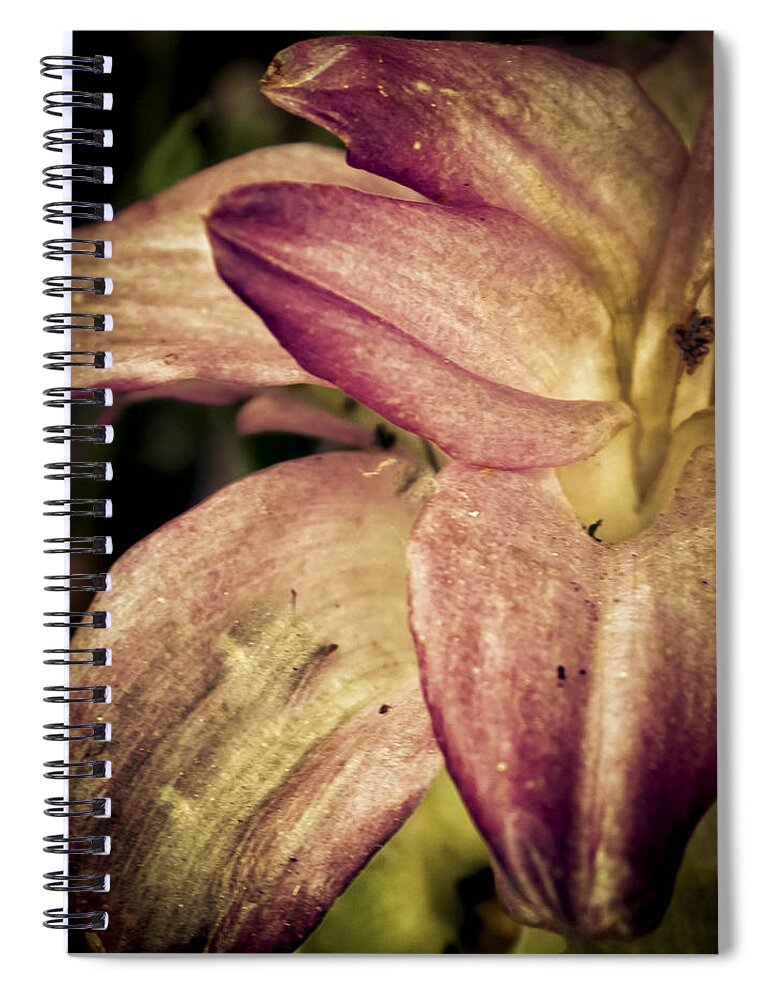 Lilies Spiral Notebook featuring the photograph Curcuma Ginger by Debra Forand