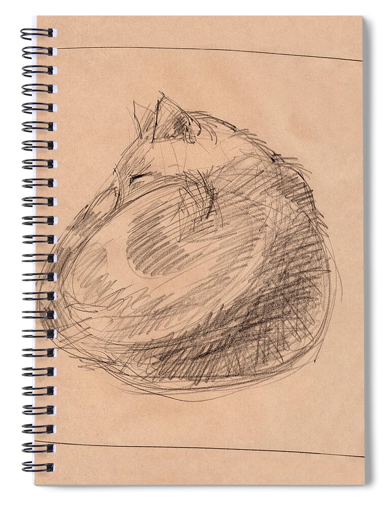 Cat Spiral Notebook featuring the drawing Curled Up by Judith Kunzle