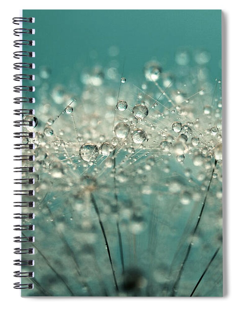 Dandelion Spiral Notebook featuring the photograph Cyan Sparkles by Sharon Johnstone