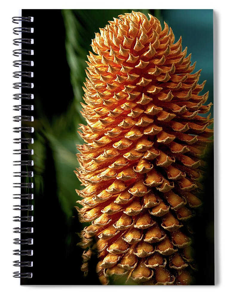 Plant Spiral Notebook featuring the photograph Cycad Cone by Christopher Holmes
