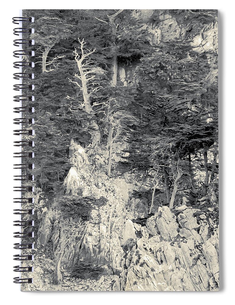 Cypress Spiral Notebook featuring the digital art Cypress Strewn Cliff, Carmel Bay, Point Lobos, State Park Carmel, California by Kathy Anselmo