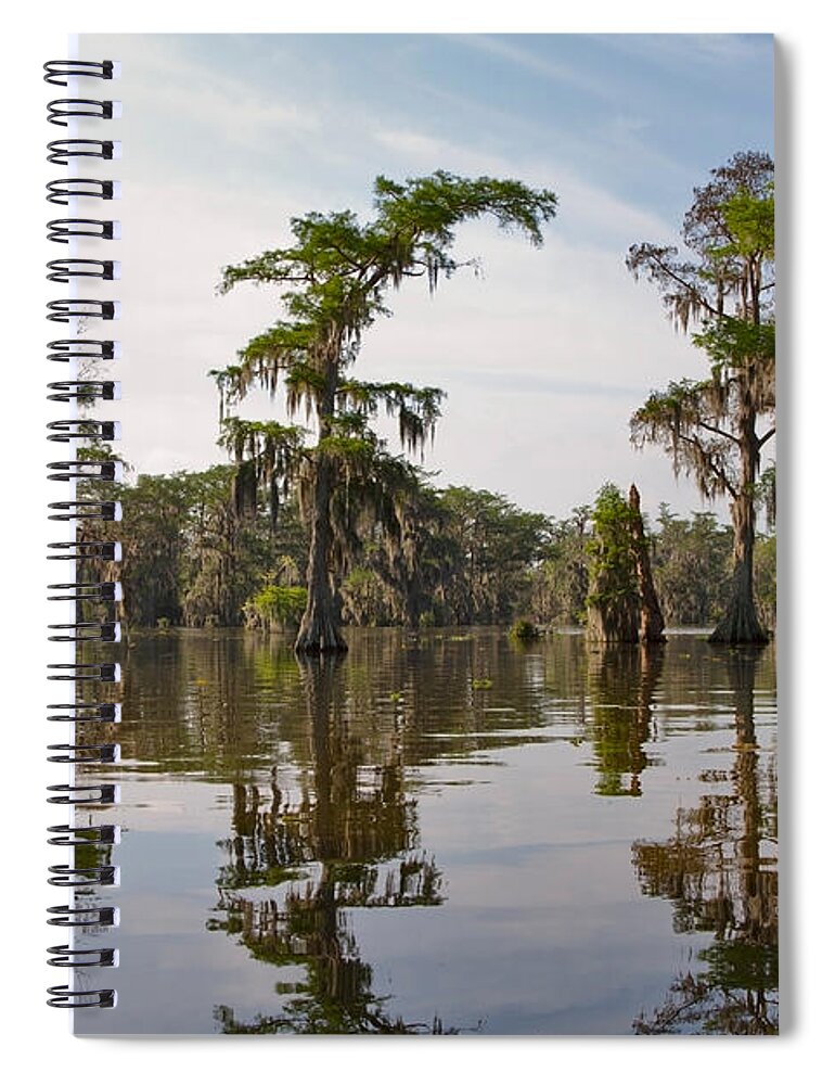 Swamp Spiral Notebook featuring the photograph Cypress Trees and Spanish Moss in Lake Martin by Louise Heusinkveld