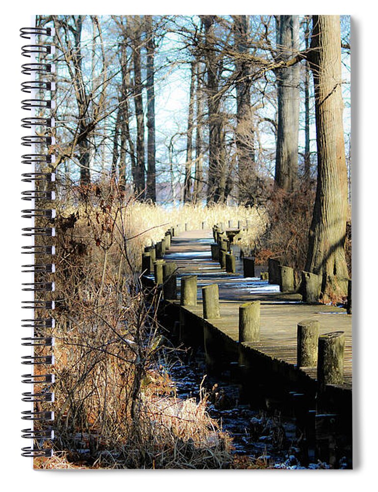 Reelfoot Lake Spiral Notebook featuring the photograph Cyprus Pier Reelfoot Lake by Veronica Batterson