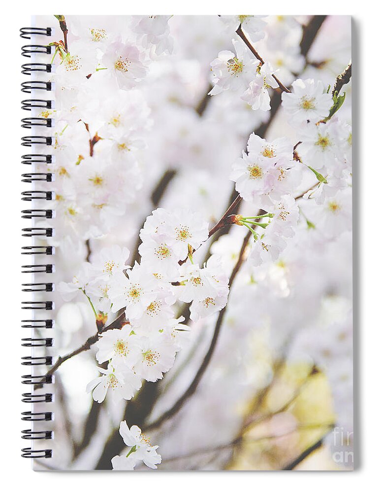 Photography Spiral Notebook featuring the photograph Dainty by Ivy Ho