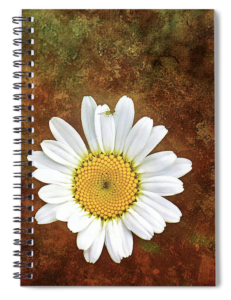Daisy Flower Photography Spiral Notebook featuring the photograph Daisy Bug Photo Bomb Wall Art by Gwen Gibson