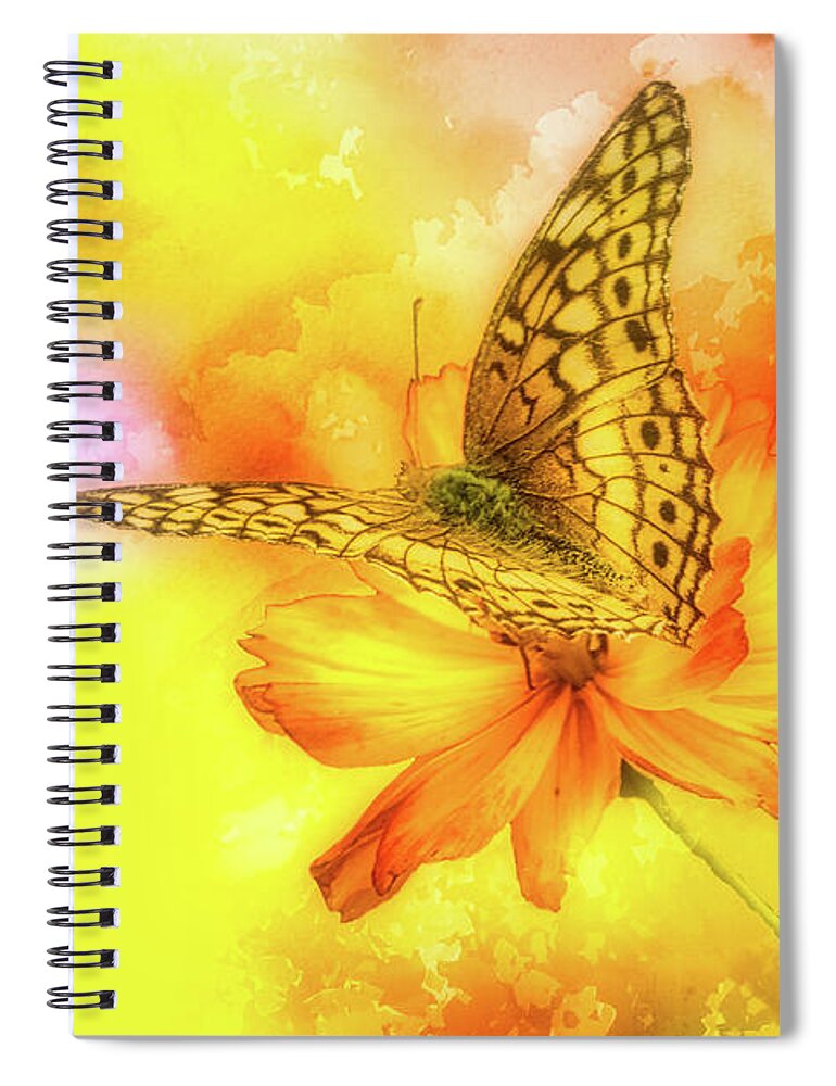 Flower Spiral Notebook featuring the photograph Daisy for a Butterfly by Ches Black