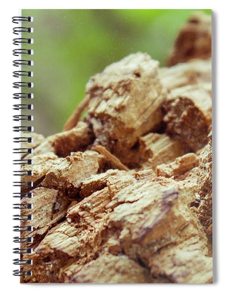 Beam Spiral Notebook featuring the photograph Damaged wooden beam close up by Vlad Baciu