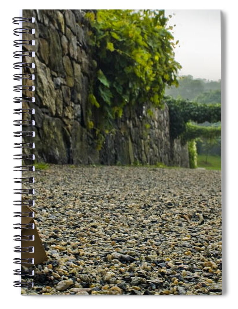 Danbo Spiral Notebook featuring the digital art Danbo by Maye Loeser