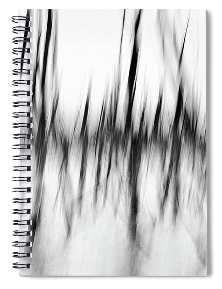 Abstract Spiral Notebook featuring the photograph Dancing Trees by Darren White
