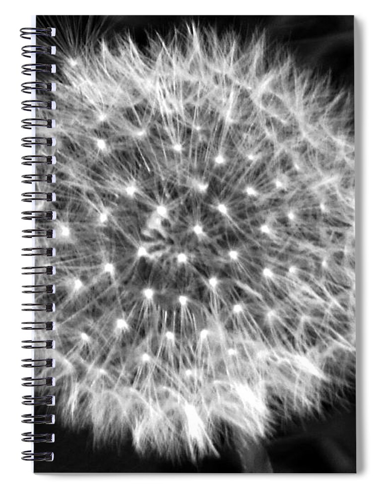 Dandelion Spiral Notebook featuring the photograph Dandelion Fuzz by Rockin Docks Deluxephotos