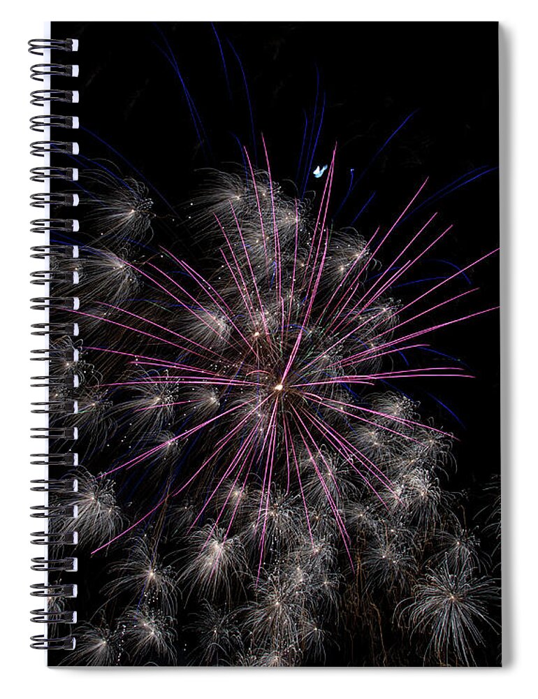 Fireworks Spiral Notebook featuring the photograph Dandelion in the Night by Alex Lapidus