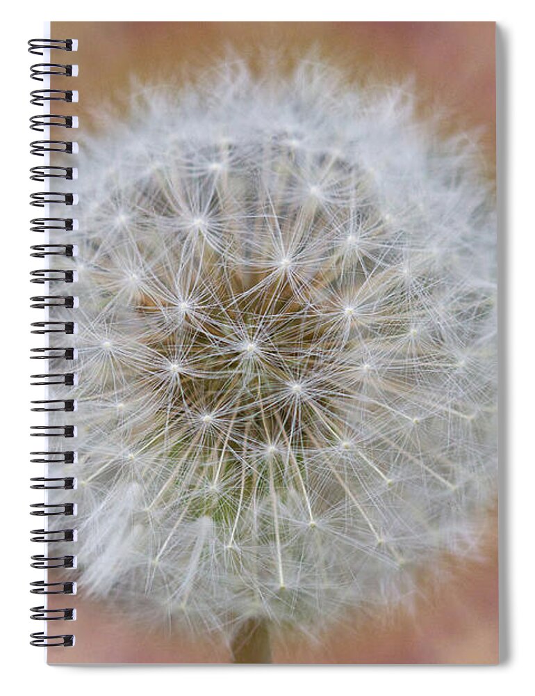 Landscape Spiral Notebook featuring the digital art Dandelion Seed by Donna L Munro