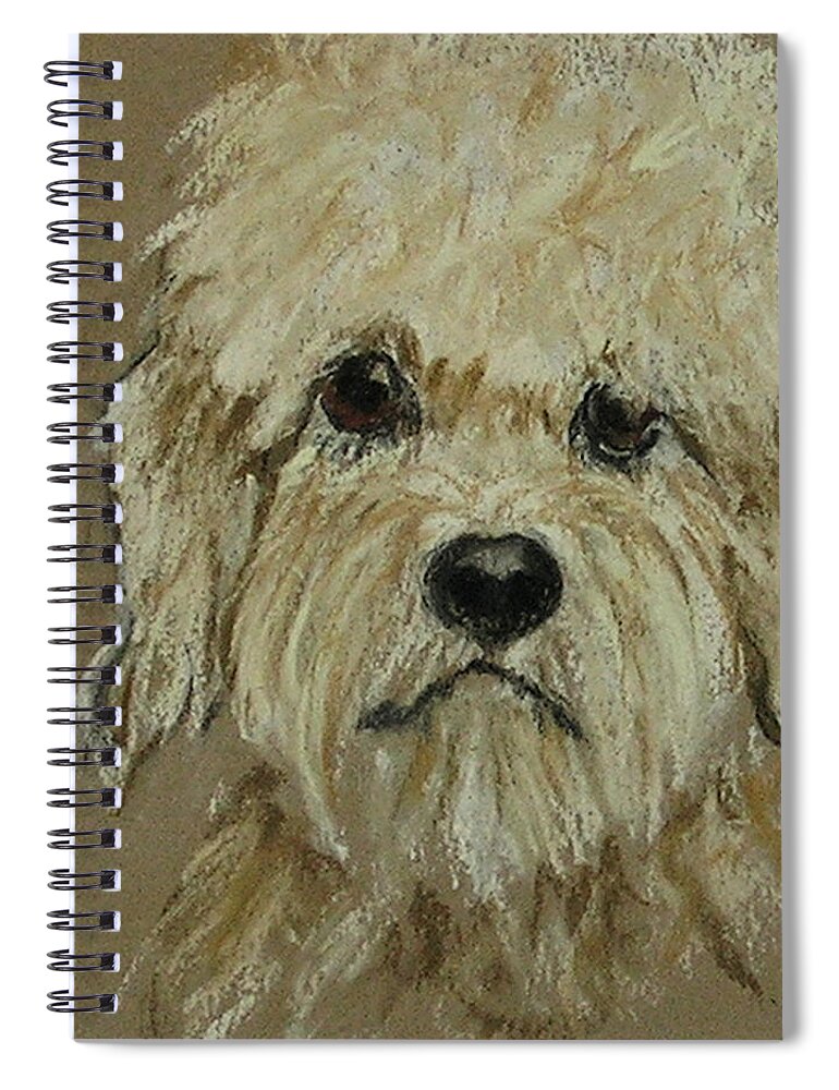 Dandie Dinmont Terrier Spiral Notebook featuring the drawing Dandie by Cori Solomon