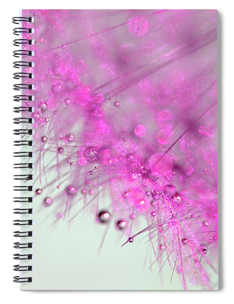 Photography Spiral Notebook featuring the photograph Dandy in Pink by Kaye Menner by Kaye Menner