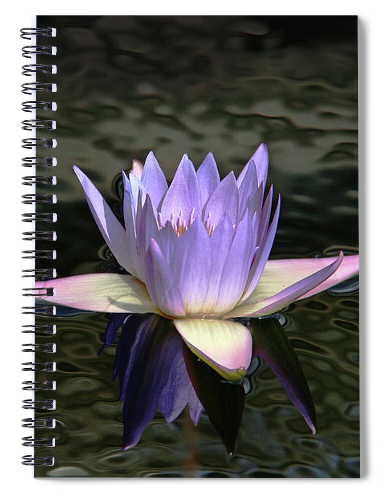 Water Lilies Spiral Notebook featuring the photograph Dark Water Shimmering by Yvonne Wright
