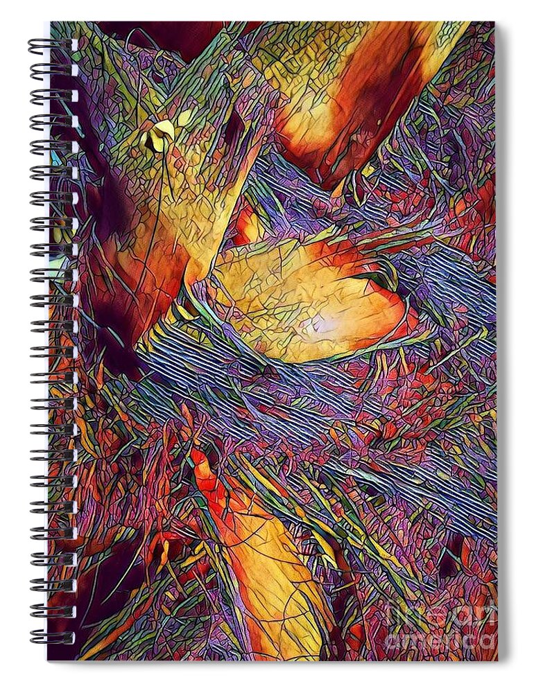 Date Palm Spiral Notebook featuring the photograph Date with a rainbow by Jarek Filipowicz