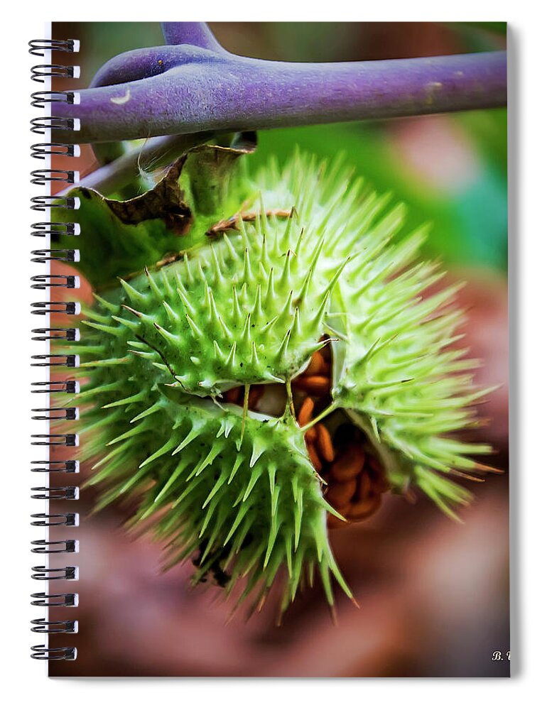 2d Spiral Notebook featuring the photograph Datura Seedpod by Brian Wallace