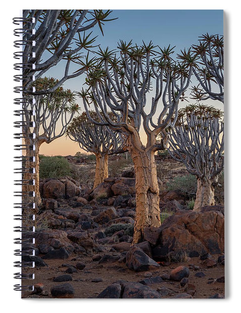 Africa Spiral Notebook featuring the photograph Dawn and Quiver Trees-Namibia by Sandra Bronstein