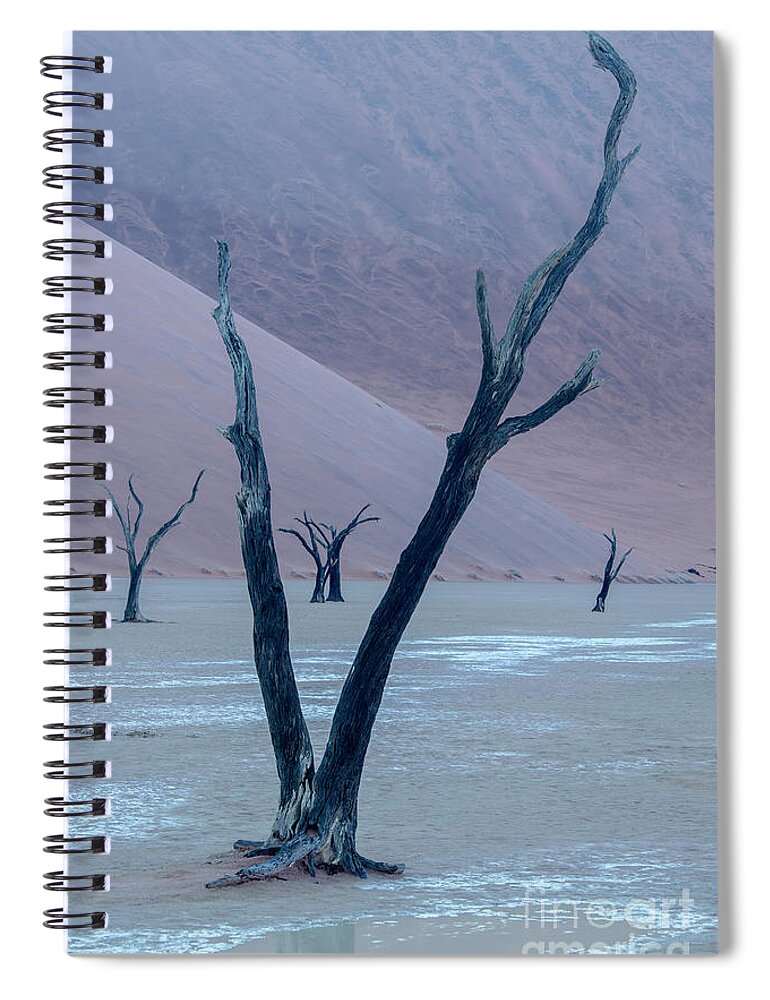 Landscape Spiral Notebook featuring the photograph Dawn At DeadVlei - Namibia by Sandra Bronstein