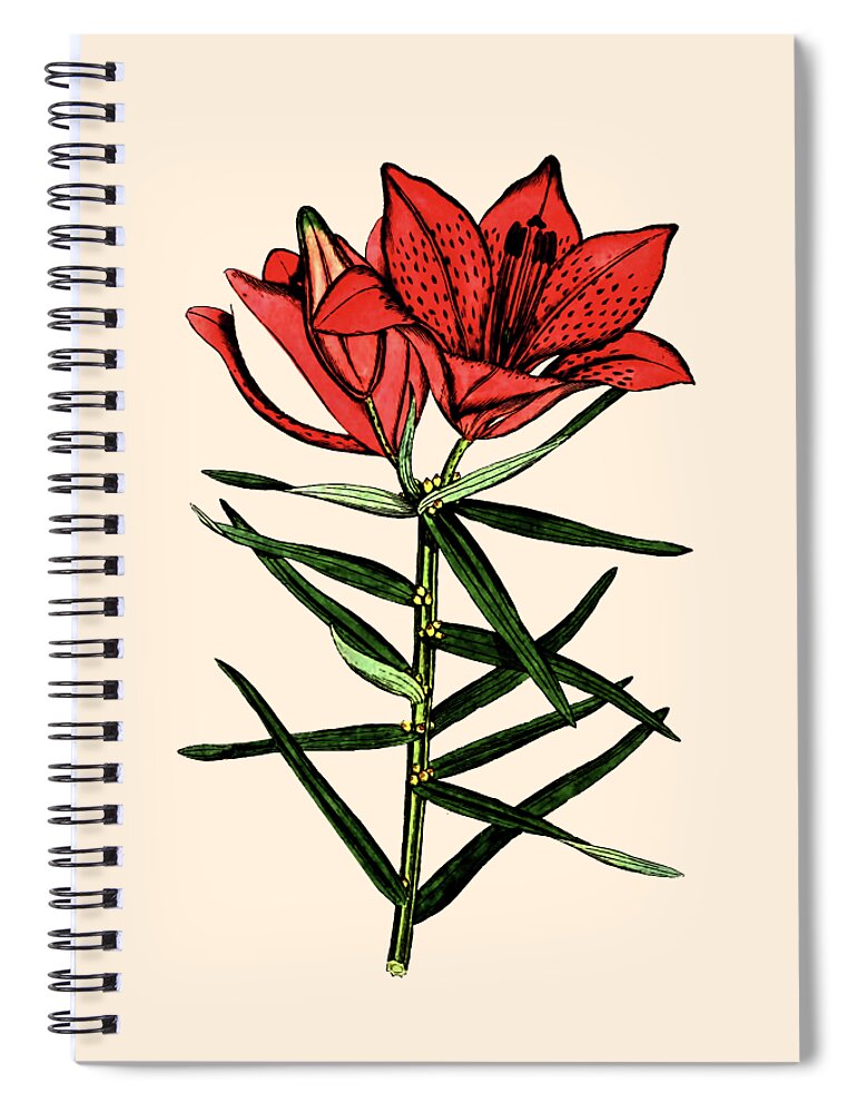 Botanical Spiral Notebook featuring the photograph Day Lilly by Tom Prendergast