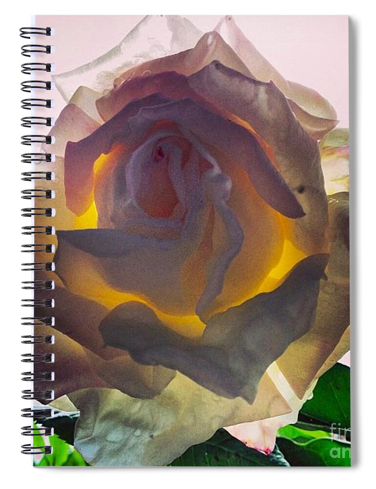 Rose Spiral Notebook featuring the photograph Daybreak by Denise Railey
