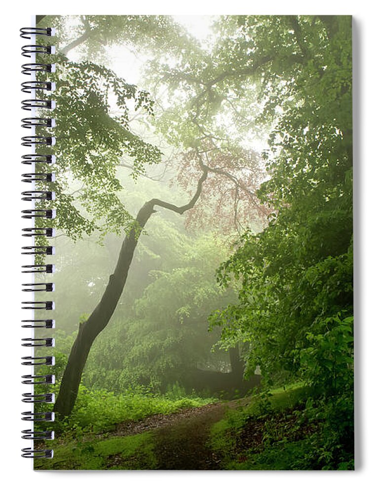 Corstorphine Hill Spiral Notebook featuring the photograph Daylight through the fog. by Elena Perelman