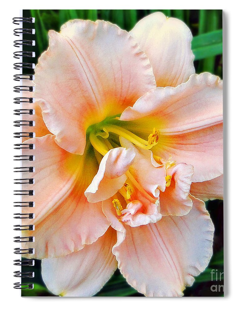 Lily Spiral Notebook featuring the photograph Daylily Dream by Sue Melvin